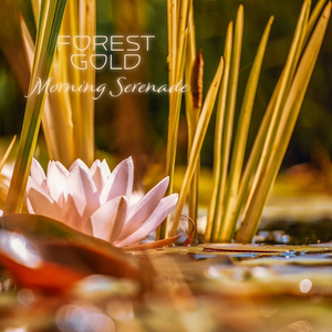 欧美性生活视频
