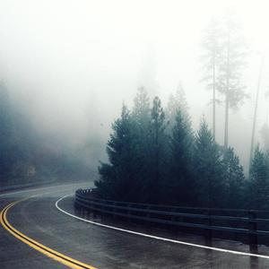 欧美性生活视频
