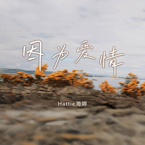 欧美性生活视频
